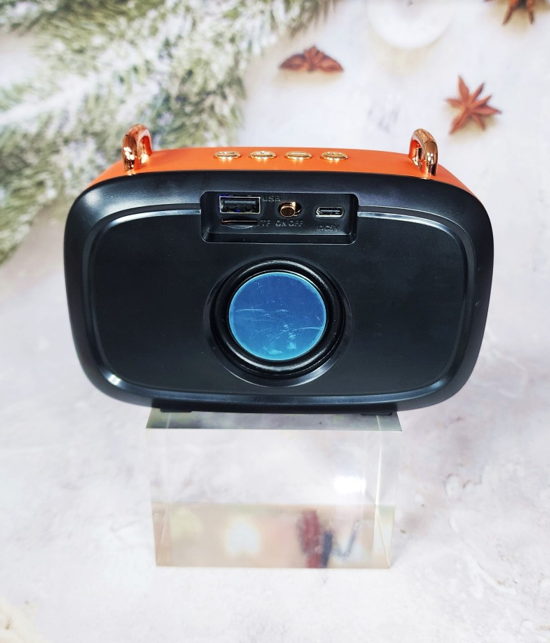 BS32D Bluetooth Speaker: Back