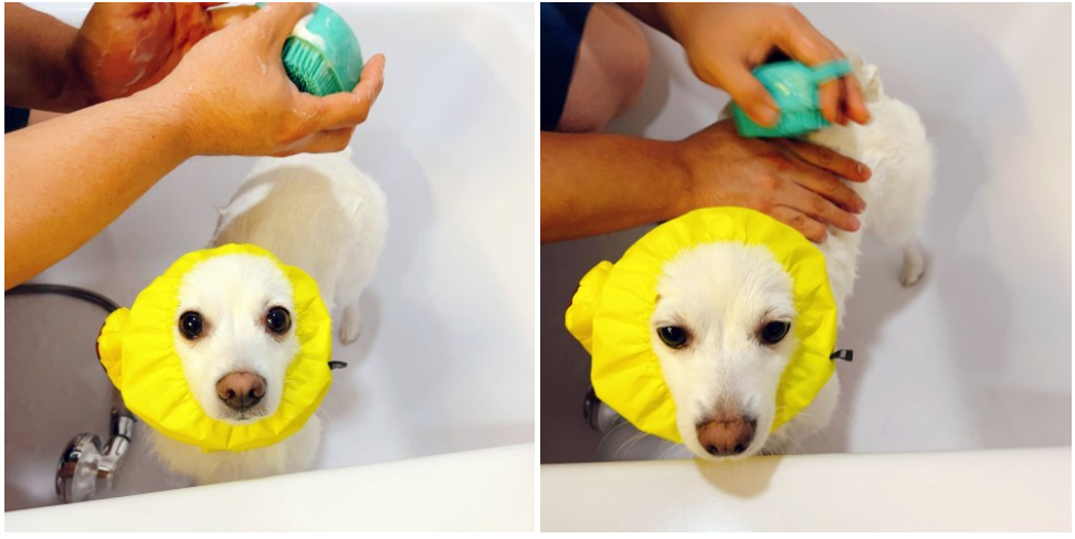 Pet Massage Bath Brush